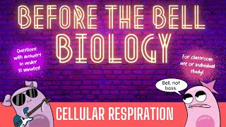 Cellular Respiration Before the Bell Biology [upl. by Autrey]