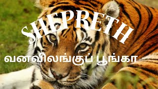 Shepreth Wildlife Park ஷெபர்த் வனவிலங்குப் பூங்கா Prem Thamizhachi4k [upl. by Antonietta155]