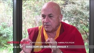 Matthieu Ricard dénonce la souffrance animale AcTualiTy [upl. by Atisusej]