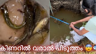 ബുദ്ധിയുള്ള വരാൽ ആണ് തോന്നുന്നു😨🐟 Happy Baby Fishing fishing youtube monsterfish alligatorgar [upl. by Ahcatan]