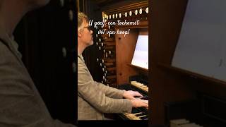 Toekomst vól van hoop marcodentoom organist orgel shorts sela [upl. by Eirased]