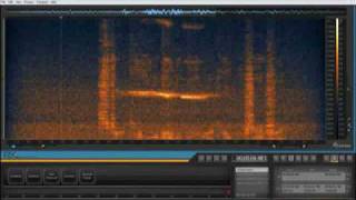 Izotope RX Spectral Repair Attenuate Mode [upl. by Gerdi]