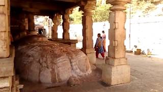 ENGLISH ll GROWING NANDI ll YAGANTI TEMPLE ll KALI YUGA ENDS [upl. by Judsen]