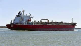 37250 DWT Singapore flagged Chemical Products Tanker GALLOP [upl. by Housum]