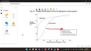 Myoglobin Oxygen dissociation curve [upl. by Aihsatan710]