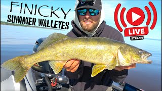 How to Catch Finicky Summer Walleyes [upl. by Aznofla952]