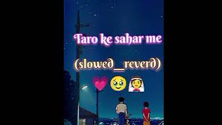 taro ke sahar me 💗 lofi reverd [upl. by Eseuqcaj]