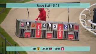 Monmore Greyhounds Races on 1st October 2024 [upl. by Eicyak451]