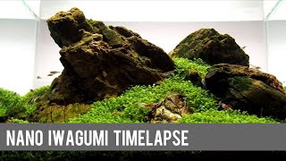 Nano Iwagumi HardscapeTimelapse and Development in a Dennerle Scaper’s Tank [upl. by Neelehtak]