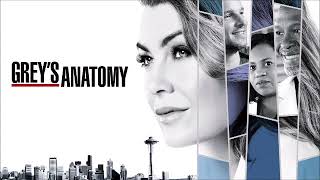 Kelly Clarkson  Love So Soft Cash Cash Remix Audio GREYS ANATOMY  14X15  SOUNDTRACK [upl. by Court174]