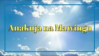 Anakuja na Mawingu  Mch Daniel Mwasumbi Official Music [upl. by Sternlight]