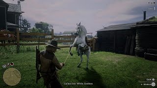 A One Horse Deal Mission Red Dead Redemption 2 Online [upl. by Ethe]