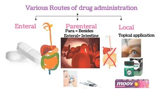 Routes of Drug administrationpart 1 Oral Routepharmacology Routes of drug administration [upl. by Proctor]