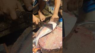 Amazing Hilsa Fish Cutting Skills  Fish Cutting Live  Fish Cutting Video shorts [upl. by Swope]