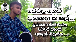 වෙරලු ගෙඩි පැහෙන කාලේ  Weralu gedi pahena kale  DARBUKA MUSIC WITH ASDT  darbuka cover [upl. by Nnylireg]