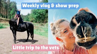 WEEKLY VLOG amp SHOW PREP  Trip to the vets  KATIELEWIS100 [upl. by Goldstein]