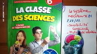 le système nerveux 1p2223la classe des sciences6e [upl. by Hsetim]