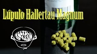 LÃºpulo Hallertau Magnum â€” LÃºpulo para tudo [upl. by Noivert710]