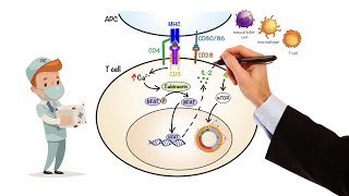 Pharmacology  IMMUNOSUPPRESSANTS MADE EASY [upl. by Notgnimer212]