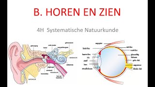 5H samenvatting katern Horen en zien deel 2 [upl. by Emyle]