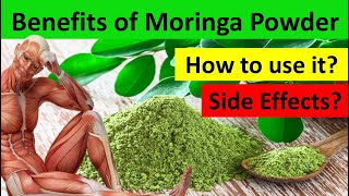 Benefits of Moringa Powder  How to Use Moringa Powder  Side Effects of Moringa Powder [upl. by Ermengarde]