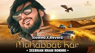 Muhabbat Kar  Zeeshan Khan Rokhri  Slowed X Reverb  Latest punjabi Song 2024 [upl. by Nahshunn]