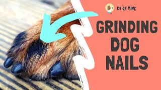 How to Grind Dog Nails With a Dremel [upl. by Siberson]