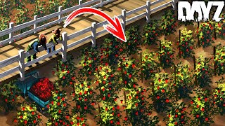 I STARTED THE RICHEST TOMATO FARM ft FrankieOnPCin1080p [upl. by Edorej]