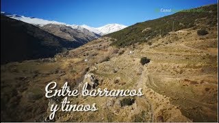 Entre barrancos y tinaos Comarca de La Alpujarra Granada [upl. by Arutek]