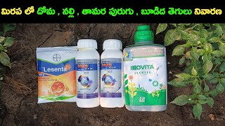 bayer lesenta insecticide  lesenta insecticide telugu  roko flo biostadt  roko flo  gls farming [upl. by Onibas]