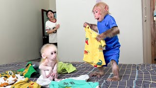 Super Funny Bibi takes his clothes for the baby monkey to wear [upl. by Merissa12]