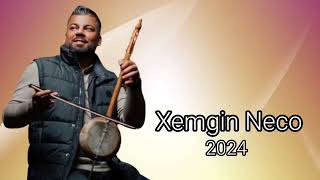 Xemgin Neco Full Dawata Kemence SEGAVİ 2024 Nû xemginneco Part9 [upl. by Richman]