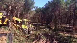 Tigercat Skidder 620 D [upl. by Clabo]