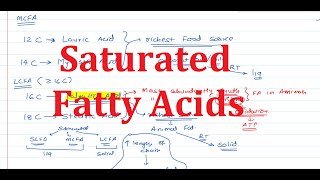 6 Fatty Acids Saturates FA [upl. by Herzberg]