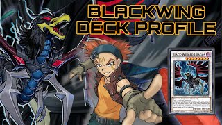 BLACKWING DECK PROFILE MAY 2024 [upl. by Spark]