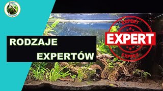 Rodzaje Expertów [upl. by Eisiam]