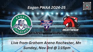 Eagan PWAA v Rochester 11324 [upl. by Legyn]