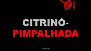 Citrinó Pimpalhada [upl. by Aryad]