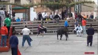 1º TOROS POR LAS CALLES DE RINCON DE SOTO LA RIOJA 29092012 [upl. by Elena1]