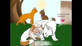 Top 10 Favorite Warrior Cat Ships of all Time [upl. by Wat994]