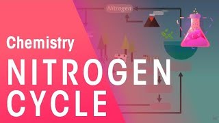 The Nitrogen Cycle  Environmental Chemistry  Chemistry  FuseSchool [upl. by Pinelli767]