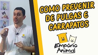 Como prevenir e tratar pulgas e carrapatos em cães e gatos [upl. by Eilujna]