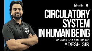 Structure and Function of Heart Circulatory System  Class 1011 ICSE  Part  2  Adesh Tiwari Sir [upl. by Kyred220]