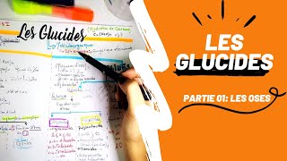 📣 Biochimie 1 Révision DES GLUCIDES PARTIE 01  Les Oses en détails👌 biologyUSTHBBIOCHIMIE [upl. by Inattirb632]