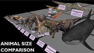 Animal Size Comparison 3D [upl. by Arraeit]