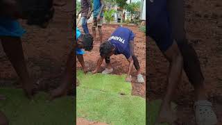 How to setup lawn grass  Turfing   Landscaping  Gardening Tips Tamil [upl. by Papp278]