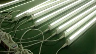 LED T5 Tube Light [upl. by Arikahc]