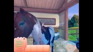 Lets Play Mein Pferd 022 Deutsch HD [upl. by Eelirol]