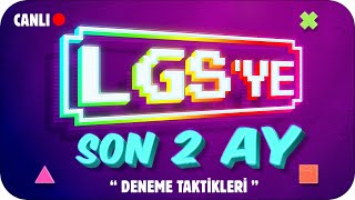 LGS Deneme Netlerini TAVAN YAPACAK TAKTİKLER❗ LGSYE SON 2 AY 🎯 [upl. by Ahsotal]