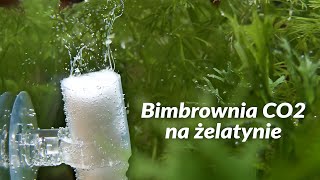 Bimbrownia na żelatynie tanie CO2 [upl. by Teteak146]